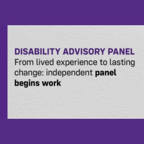 DISABILITY ADVISORY PANEL From lived experience to lasting change: independent panel begins work